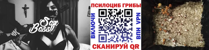 мега зеркало  Пересвет  Галлюциногенные грибы GOLDEN TEACHER 